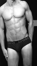 Silver line collection Brief