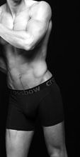Silver line collection Boxer