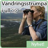 Vandringsstrumpa i ull