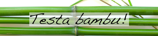 Testa bambu!