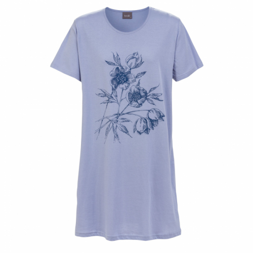 Big-T Anemone 