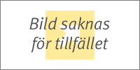 Silver line collection Brief Svart XXL i gruppen Herr / Kalsonger hos Gus Textil AB (25717)