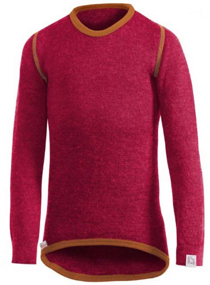 Ullfrottétröja barn i gruppen Övrigt / Barn hos Gus Textil AB (311201r)